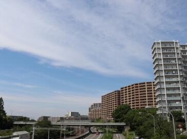 2015年 堺市とのつながり
