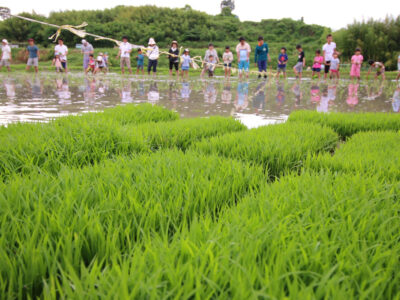 四季の国、日本。
