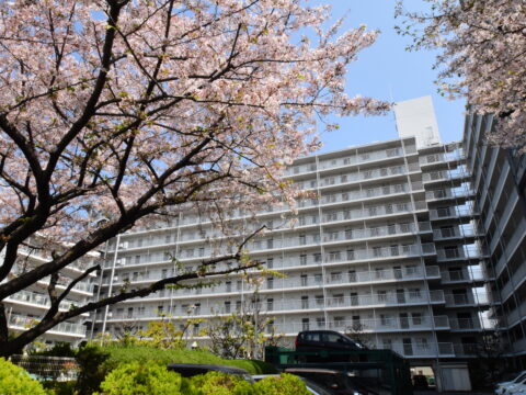 思い出の詰まったマンションリノベ