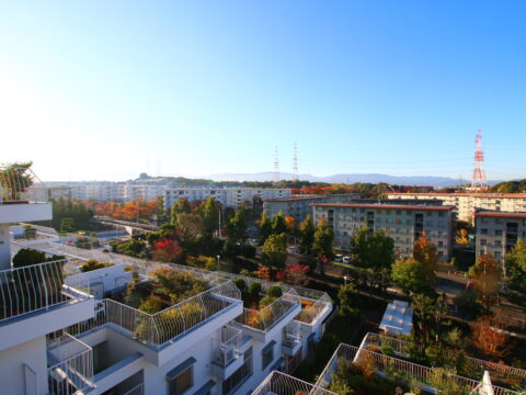 空中庭園のあるマンションリノベ② 泉北鴨谷台3丁住宅
